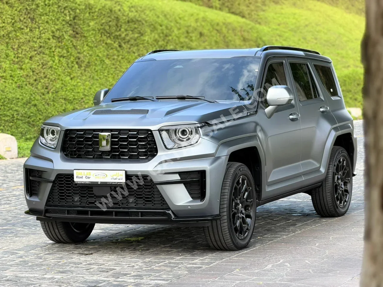 GWM  Tank 700  6 Cylinder  SUV 4x4  Gray Metallic  2026