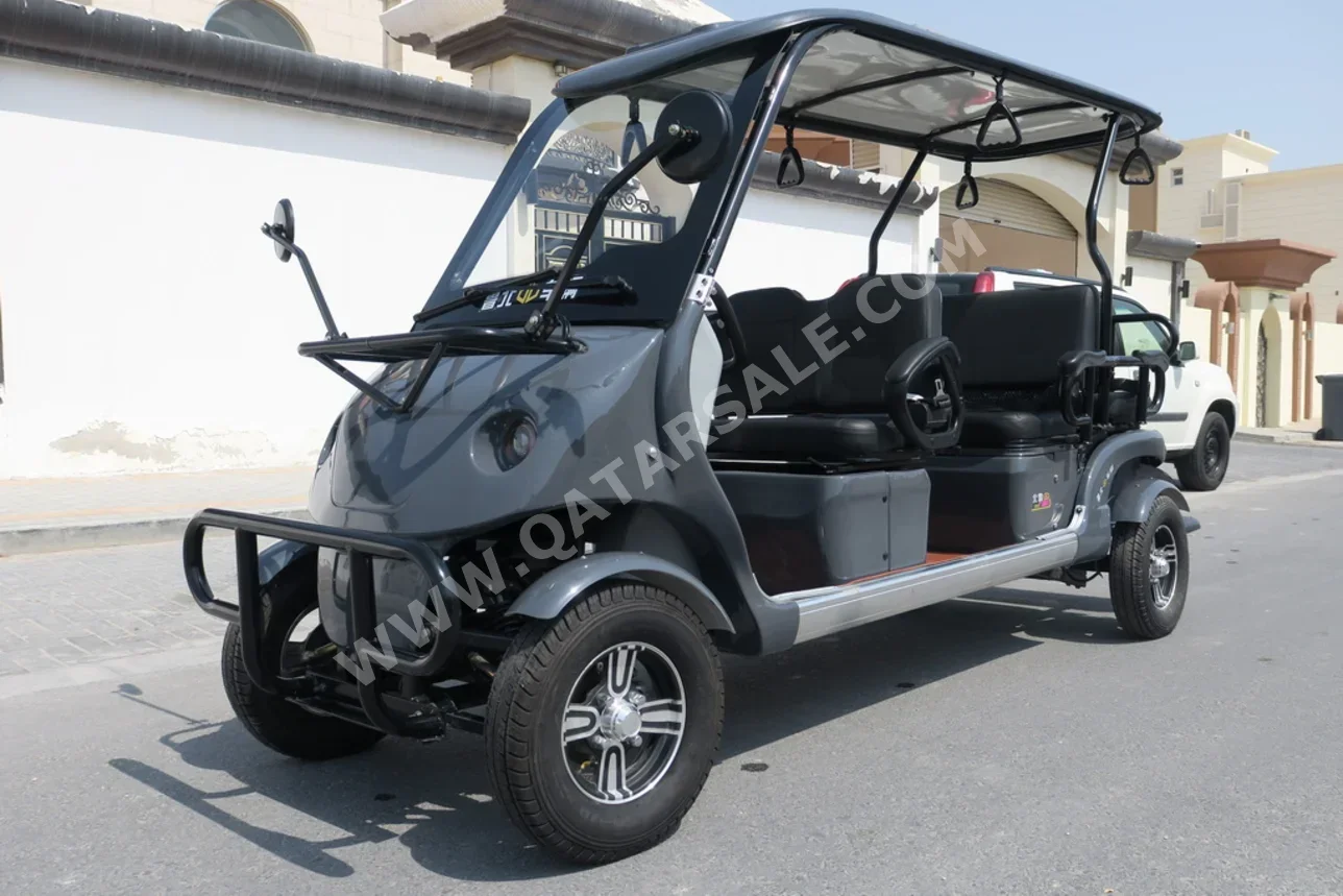 كلاب كار جولف 2025 اوتوماتيك 0 كم 0 سلندر دفع كلي مستمر احتياجات خاصة رمادي تحت الضمان