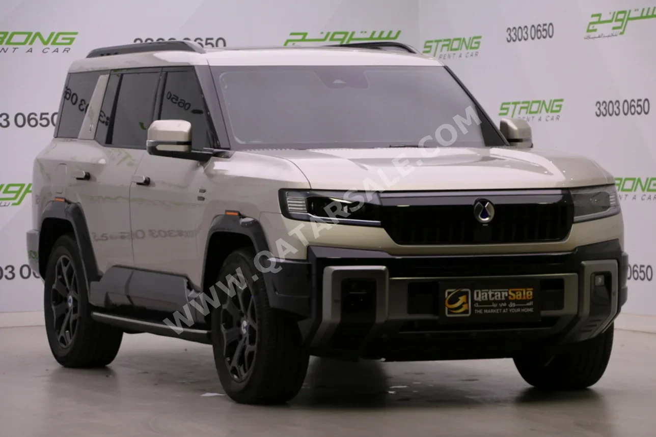 بي واي دي  دينزا  بي8 فلاك شب  2026  اوتوماتيك  2,000 كم  4 سلندر  دفع رباعي  اس يو في  ذهبي  تحت الضمان