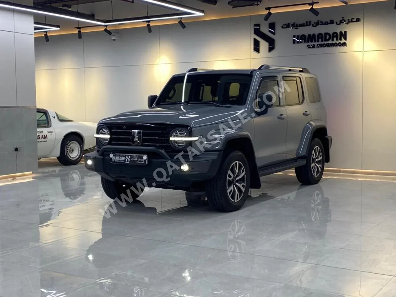 جي دبليو ام  تانك  300  2025  اوتوماتيك  3,000 كم  4 سلندر  دفع رباعي  اس يو في  رمادي  تحت الضمان