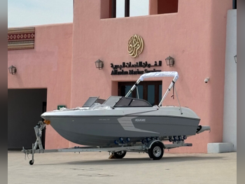 Speed Boat With Trailer