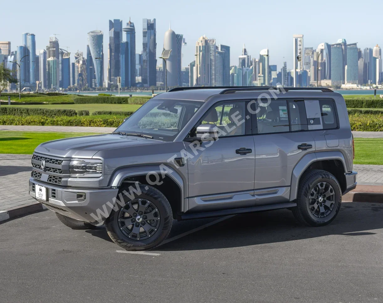 بي واي دي  دينزا بي 5  4 سلندر  إس يو في 4 في 4  رمادي  2026