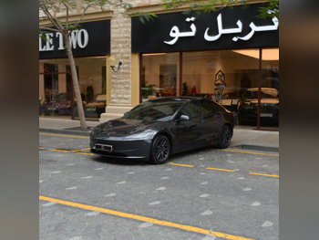 Tesla  Model 3  2024  Automatic  47,000 Km  0 Cylinder  All Wheel Drive (AWD)  Sedan  Gray  With Warranty