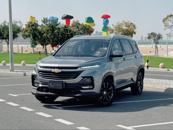 Chevrolet  Captiva  LS  2024  Automatic  36,000 Km  4 Cylinder  Front Wheel Drive (FWD)  SUV  Gray  With Warranty