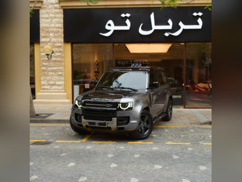 لاند روفر  ديفيندر  110 اكس  2022  اوتوماتيك  75,900 كم  6 سلندر  دفع رباعي  اس يو في  رمادي