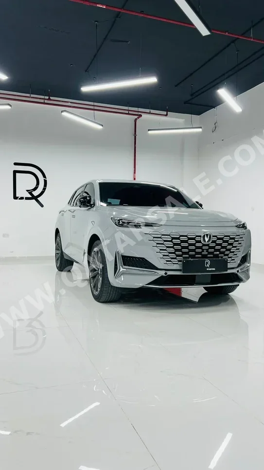 تشانجان يوني - كي 2023 اوتوماتيك 30,000 كم 4 سلندر دفع رباعي اس يو في رمادي تحت الضمان