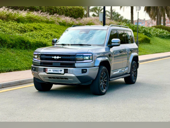 BYD  Leopard 5  Ultra 5  2025  Automatic  13,000 Km  4 Cylinder  Four Wheel Drive (4WD)  SUV  Gray  With Warranty