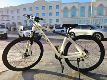 Mountain Bicycle  - White