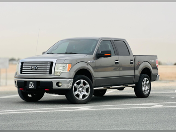Ford  F  150  2012  Automatic  200,000 Km  8 Cylinder  Four Wheel Drive (4WD)  Pick Up  Gray
