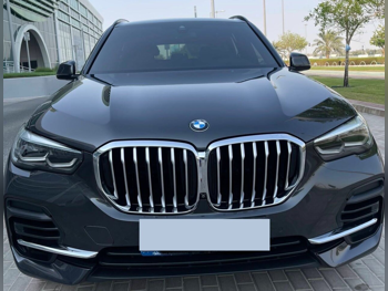 BMW  X-Series  X5 40i  2022  Automatic  80,000 Km  6 Cylinder  All Wheel Drive (AWD)  SUV  Gray  With Warranty
