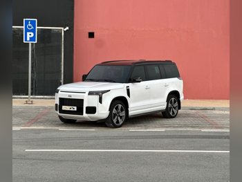 روكس موتور  جيشي  01 في اي بي  2025  اوتوماتيك  21,000 كم  4 سلندر  دفع رباعي  اس يو في  أبيض  تحت الضمان