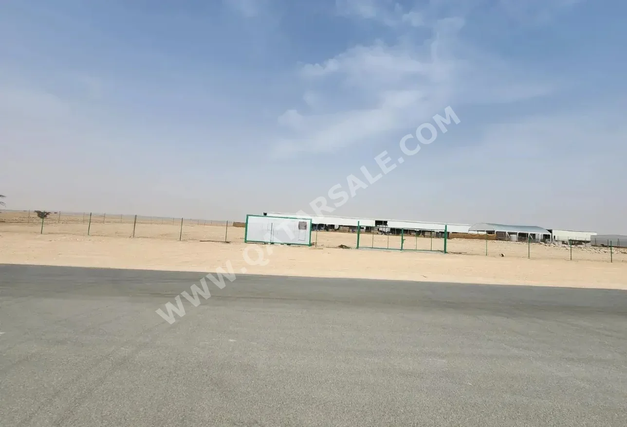 اراضي للايجار  في الريان  - الكرعانة  -المساحة 8,000 متر مربع