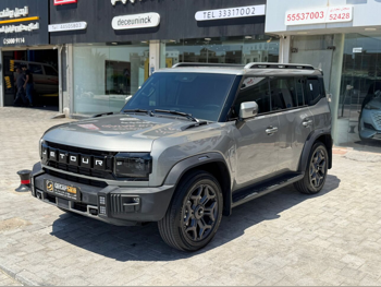 جيتور  تي 2  هايبرد  2025  اوتوماتيك  28,000 كم  4 سلندر  دفع رباعي  اس يو في  رمادي  تحت الضمان