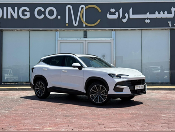 ساويست  اس 06  2026  اوتوماتيك  16,000 كم  4 سلندر  دفع خلفي  اس يو في  أبيض  تحت الضمان