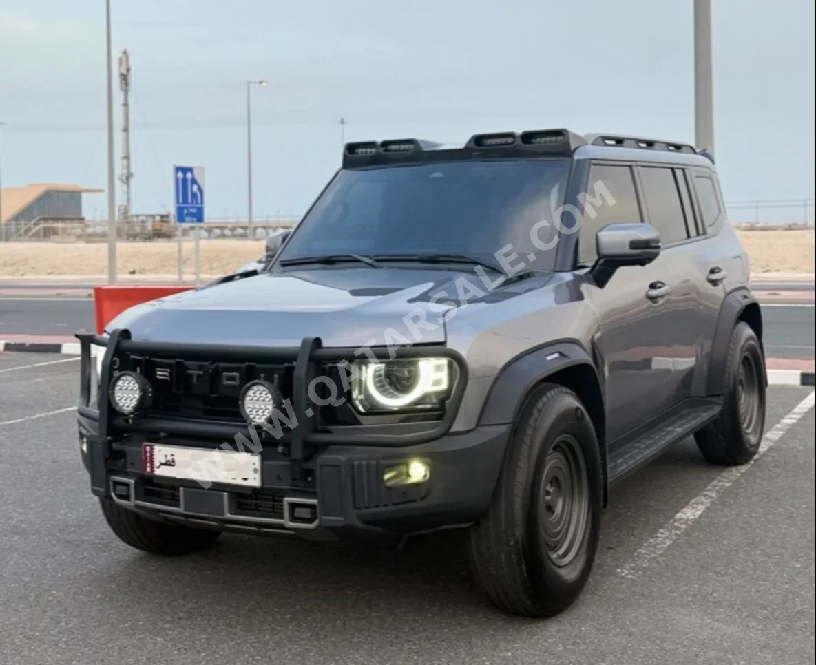 جيتور  تي 2  لكجري  2024  اوتوماتيك  84,000 كم  4 سلندر  دفع رباعي  اس يو في  رمادي