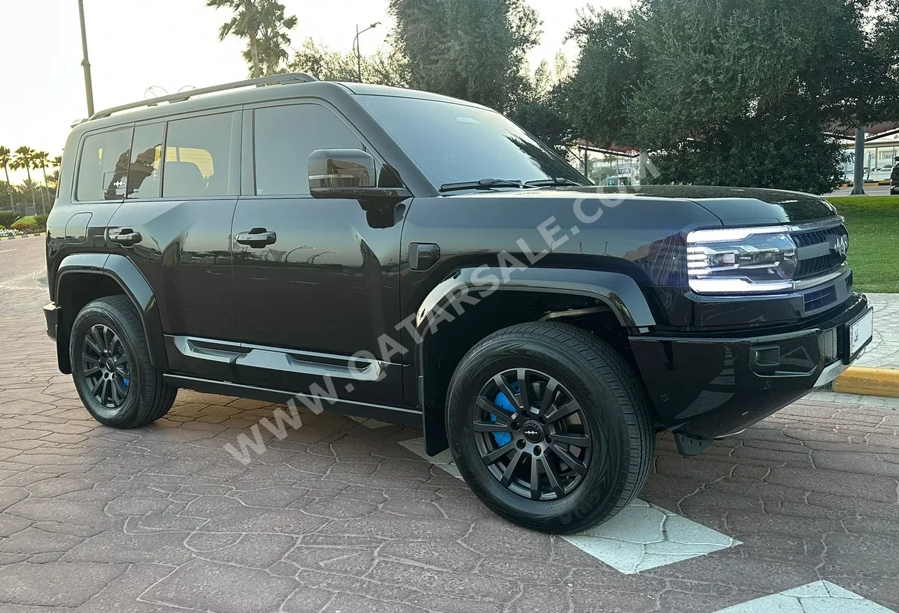 بي واي دي  ليوبيرد 5  الترا 5  2025  اوتوماتيك  5,000 كم  4 سلندر  دفع رباعي  اس يو في  أسود  تحت الضمان