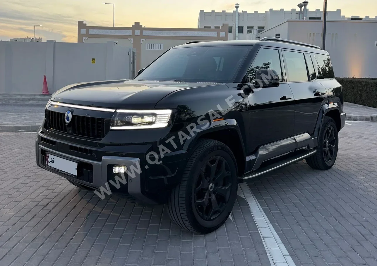 بي واي دي  دينزا  بي 8  2026  اوتوماتيك  10,200 كم  4 سلندر  دفع رباعي  اس يو في  أسود  تحت الضمان