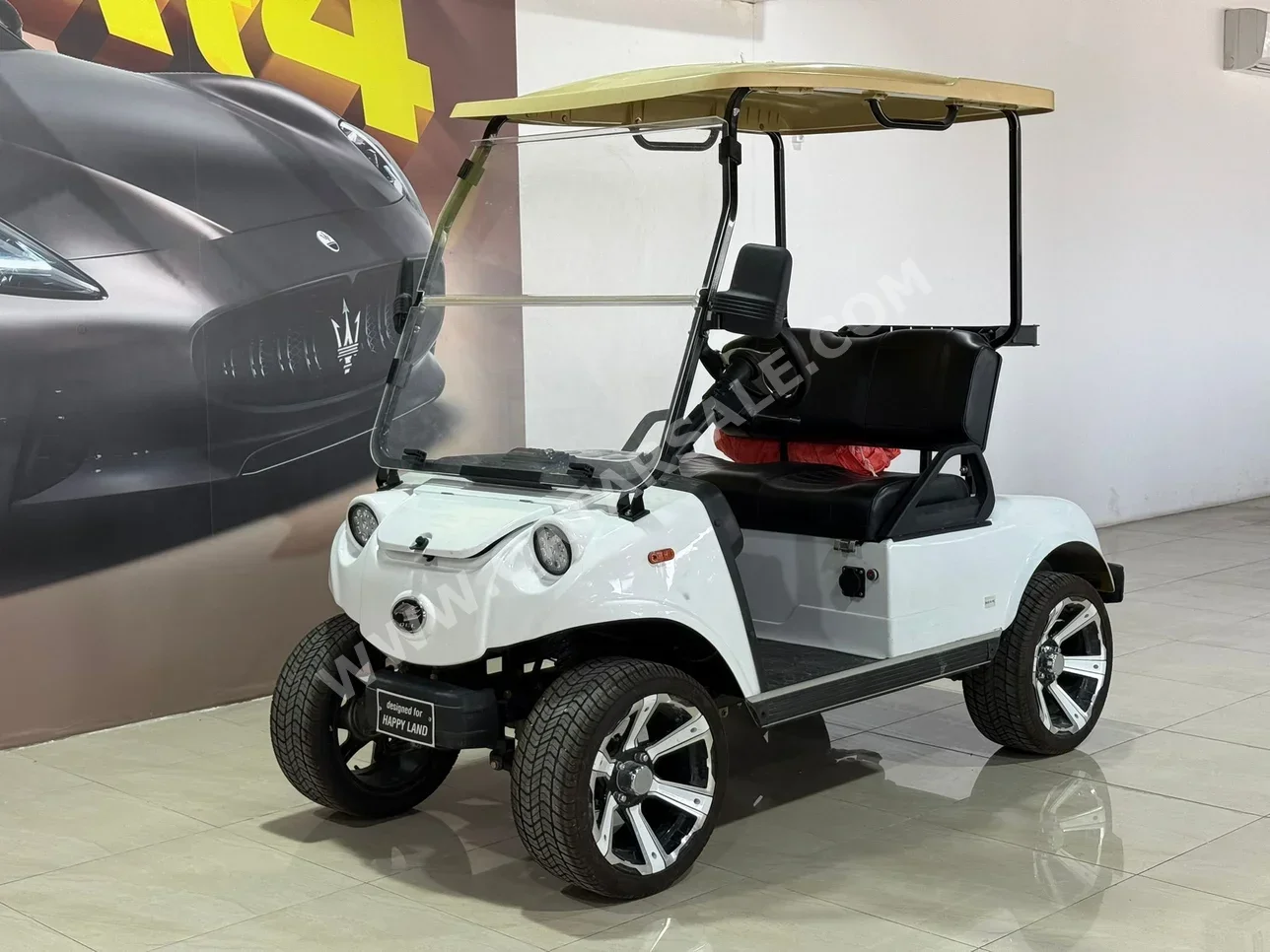 Clup Car Golf 2025 Automatic 0 Km 0 Cylinder All Wheel Drive (AWD) Special Needs White With Warranty