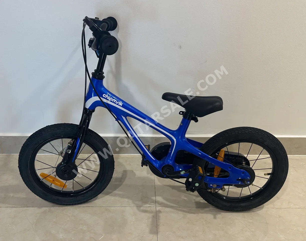 Kids Bicycle  - Blue