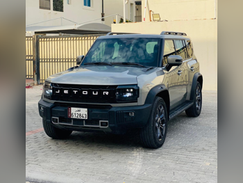 جيتور  تي 2  لكجري  2025  اوتوماتيك  11,250 كم  4 سلندر  دفع رباعي  اس يو في  رمادي  تحت الضمان