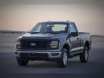 Ford  F  150 FX4  2025  Automatic  0 Km  8 Cylinder  Four Wheel Drive (4WD)  Pick Up  Gray  With Warranty