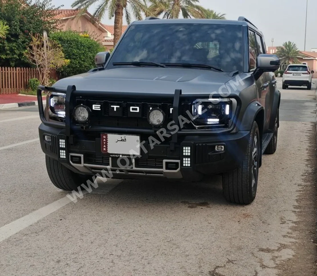 جيتور  تي 2  لكجري بلس  2020  اوتوماتيك  17,000 كم  4 سلندر  دفع كلي مستمر  اس يو في  رمادي مطفي  تحت الضمان