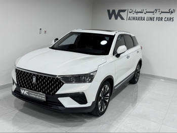 بيستون  تي 77  2023  اوتوماتيك  66,000 كم  4 سلندر  دفع خلفي  سيدان  أبيض