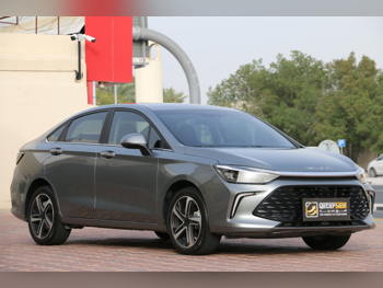 بايك  يو 5 بلس  2025  اوتوماتيك  16,000 كم  4 سلندر  سحب امامي  سيدان  رمادي  تحت الضمان