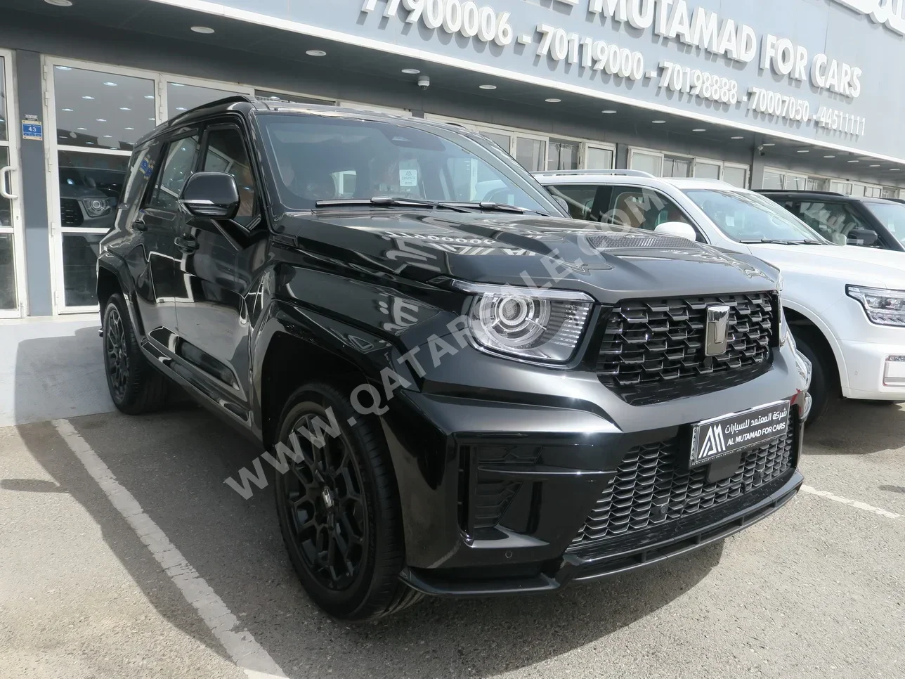 جي دبليو ام  تانك  700  2026  اوتوماتيك  0 كم  6 سلندر  دفع رباعي  اس يو في  أسود  تحت الضمان