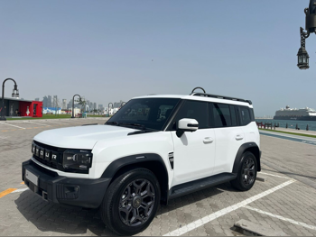 جيتور  تي 2  لكجري  2025  اوتوماتيك  18,000 كم  4 سلندر  دفع رباعي  اس يو في  أبيض  تحت الضمان