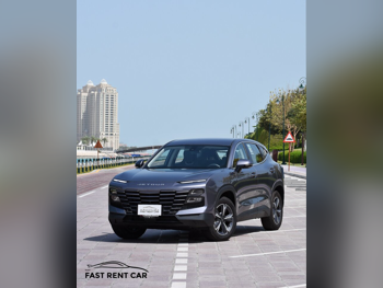 جيتور داشينغ 4 سلندر إس يو في 2 في 4 رمادي 2026