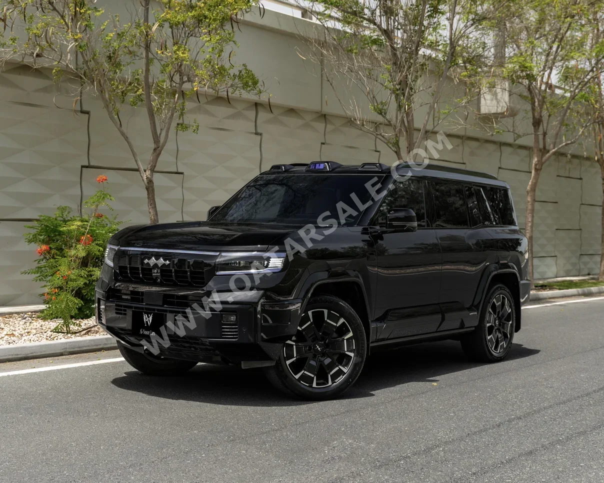 بي واي دي  ليوبارد 8  فلاك شب  2025  اوتوماتيك  29,000 كم  4 سلندر  دفع كلي مستمر  اس يو في  أسود  تحت الضمان