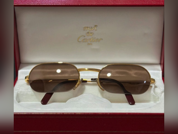 كاريرا  نظارة شمسية  بنى  رجالي