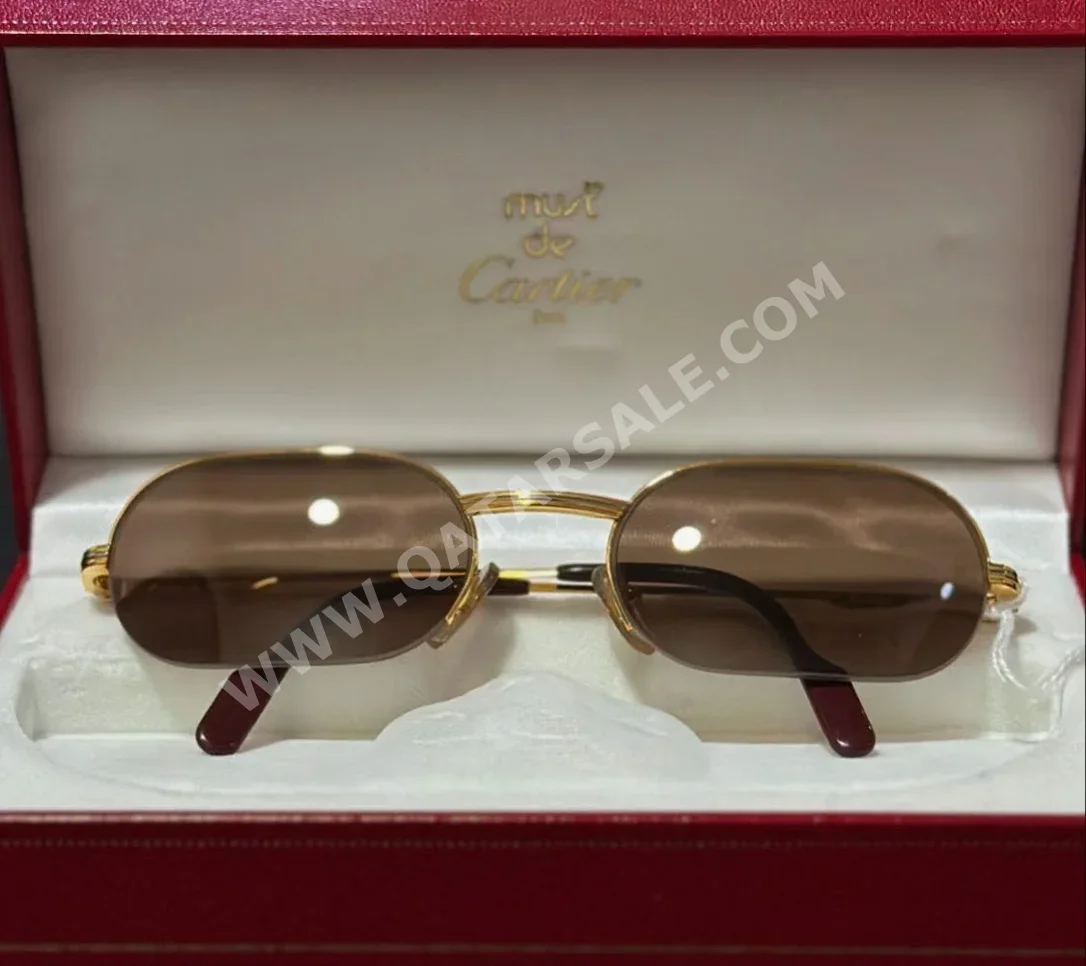 كاريرا نظارة شمسية بنى رجالي