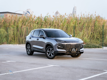 جيتور  داشينغ  2025  اوتوماتيك  34,900 كم  4 سلندر  دفع رباعي  اس يو في  رمادي  تحت الضمان