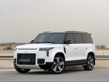 روكس موتور  جيشي  01 في اي بي  2025  تبترونك  25,000 كم  4 سلندر  دفع كلي مستمر  اس يو في  أبيض  تحت الضمان