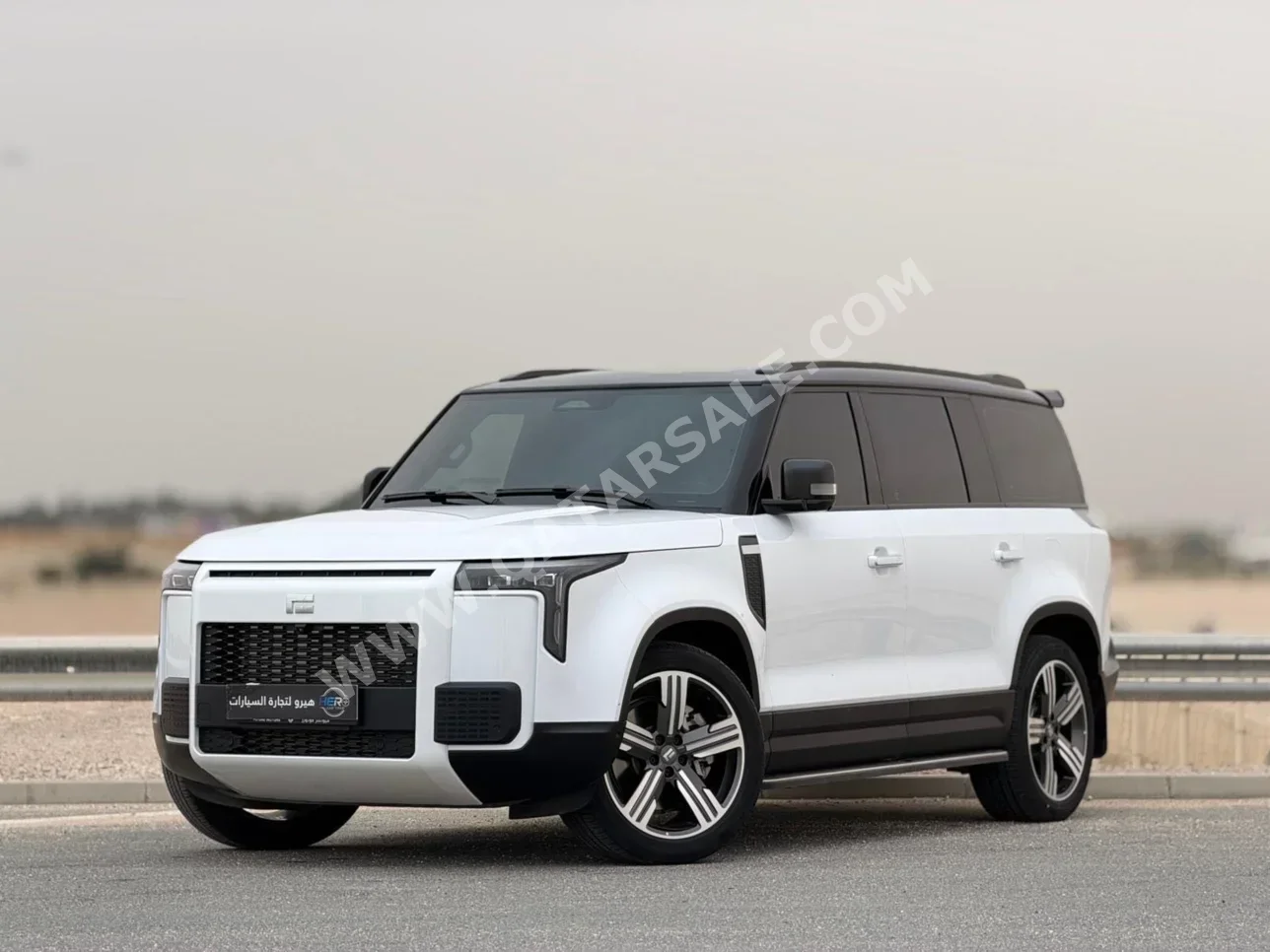 روكس موتور  جيشي  01 في اي بي  2025  تبترونك  25,000 كم  4 سلندر  دفع كلي مستمر  اس يو في  أبيض  تحت الضمان