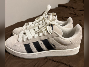 Shoes Adidas  Beige Size 44  Germany  Men