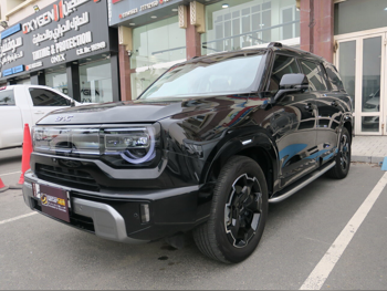 بايك  بي جيه 30 إي  2025  اوتوماتيك  14,000 كم  4 سلندر  سحب امامي  اس يو في  أسود  تحت الضمان