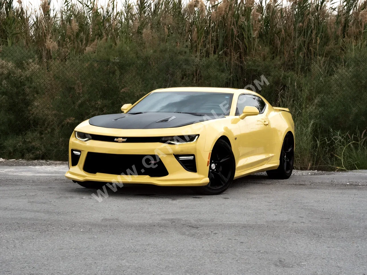 Chevrolet  Camaro  SS  2016  Automatic  113,000 Km  8 Cylinder  Rear Wheel Drive (RWD)  Coupe / Sport  Yellow