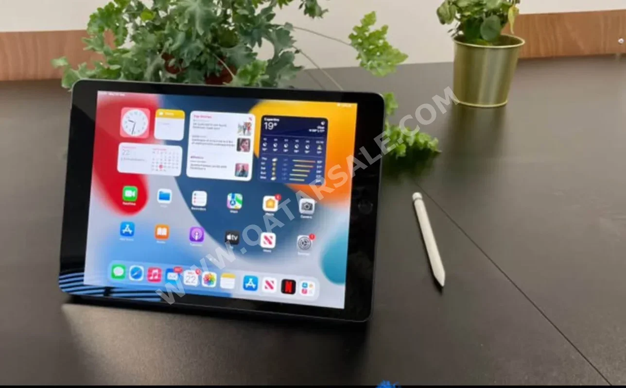 Apple  iPad  (9th generation)  2024 -  32 GB - Connectivity Wi Fi Only