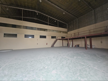 مخازن و مستودعات - الريان  - المنطقة الصناعية  -المساحة: 520 متر مربع