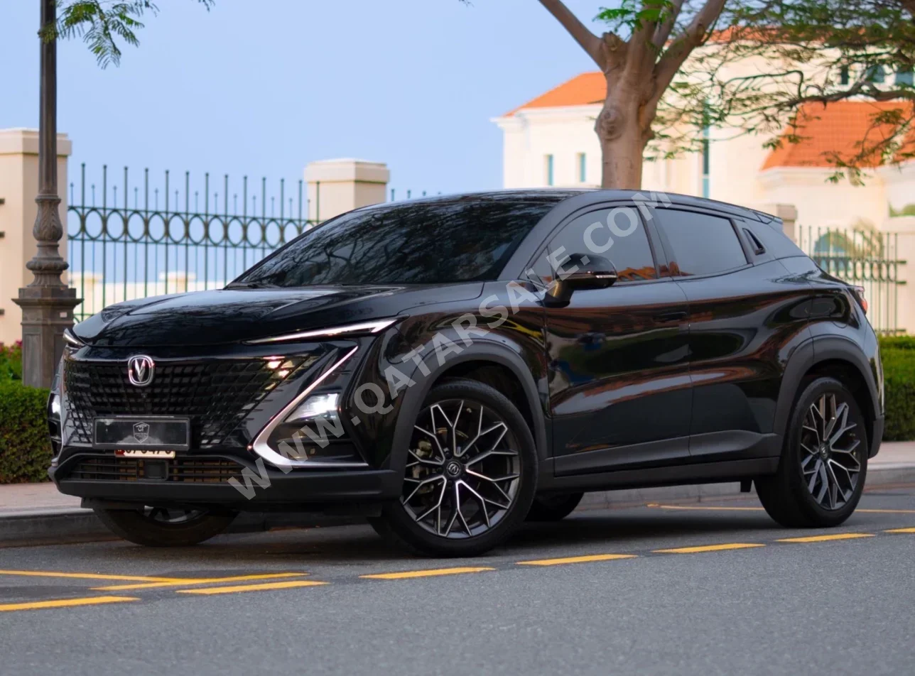 تشانجان  يوني تي  2024  اوتوماتيك  63,000 كم  4 سلندر  دفع كلي مستمر  اس يو في  أسود  تحت الضمان