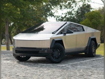 Tesla  Cybertruck  Foundation Series  2024  Automatic  20,000 Km  0 Cylinder  All Wheel Drive (AWD)  Pick Up  Silver