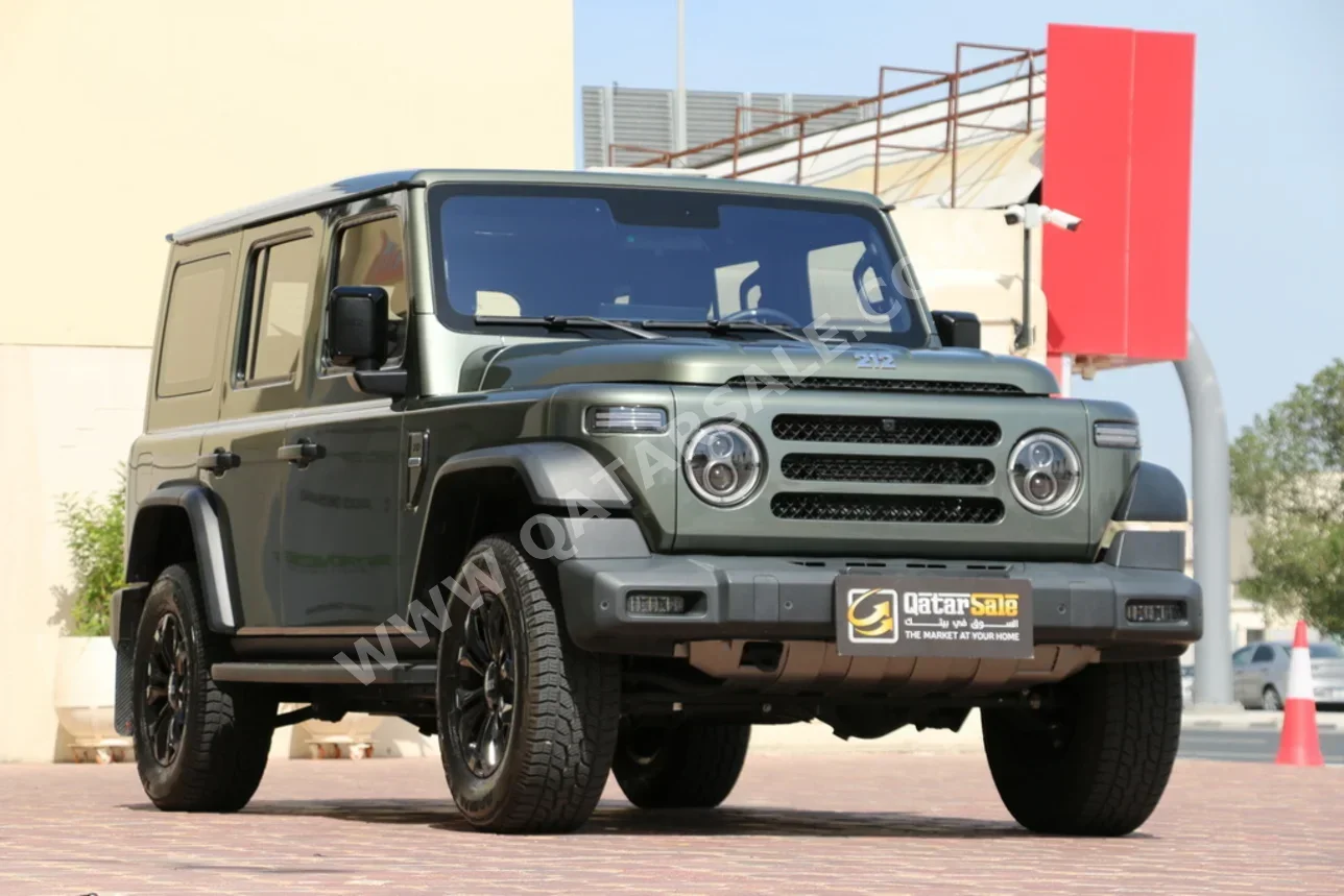 بي اي دبليو  212  تي 01  2025  اوتوماتيك  10,000 كم  4 سلندر  دفع رباعي  اس يو في  أخضر  تحت الضمان