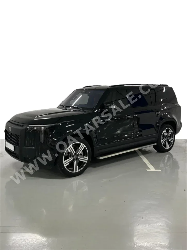 روكس موتور  جيشي  01 في اي بي  2025  اوتوماتيك  15,000 كم  4 سلندر  دفع رباعي  اس يو في  أسود  تحت الضمان