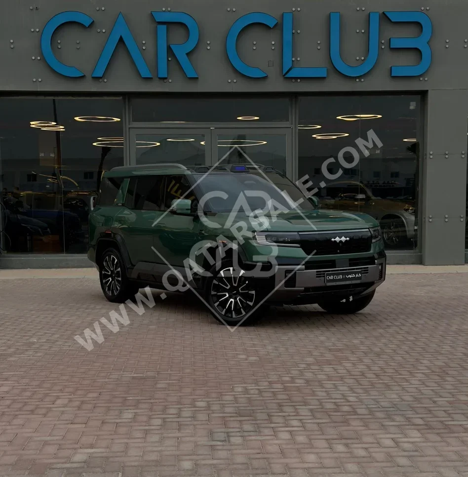 بي واي دي  ليوبارد 8  فلاك شب  2026  اوتوماتيك  1,100 كم  4 سلندر  دفع رباعي  اس يو في  أخضر  تحت الضمان