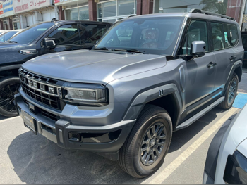 جيتور  جي 700  2026  اوتوماتيك  0 كم  4 سلندر  دفع رباعي  اس يو في  رمادي مطفي  تحت الضمان