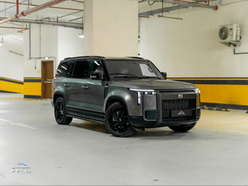 روكس موتور  جيشي  01  2025  اوتوماتيك  31,100 كم  4 سلندر  دفع كلي مستمر  اس يو في  رمادي  تحت الضمان