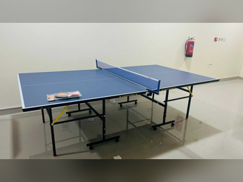 Blue  Tennis (ping pong) Table